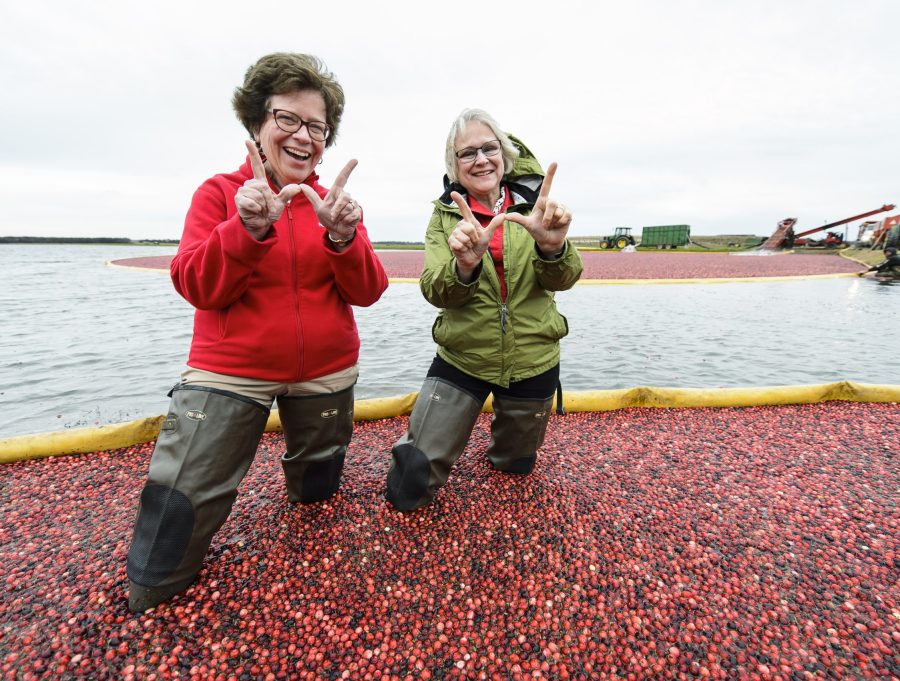 Standing knee-deep in a cranberry bog, Rebecca Blank and Kate VandenBosch make a W sign with their thumbs and forefingers while smiling wide toward the camera.
